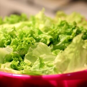 food, salad, lettuce, healthy, vegetables, green, leaves, lettuce leaves, organic, fresh, nature, produce